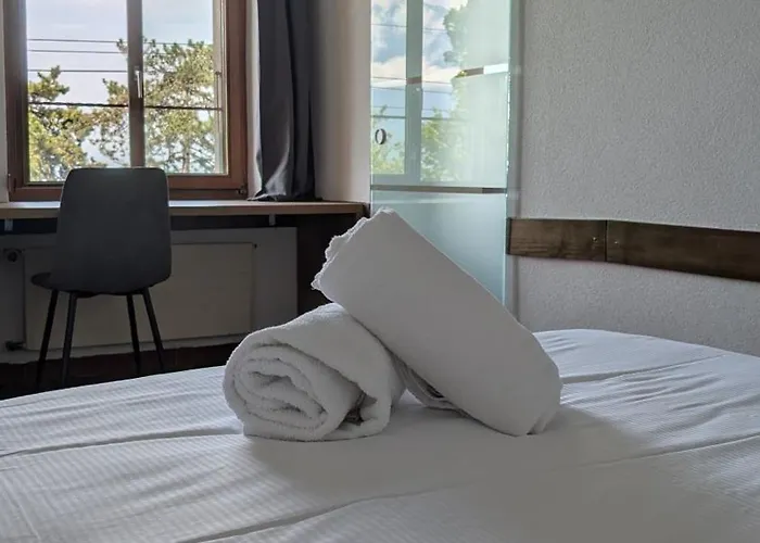 Castle View By Mk Hotel Veytaux